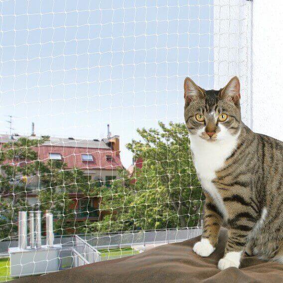 Kedi Filesi